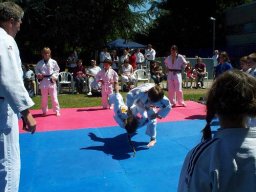 Bilder aus 2010 oder früher